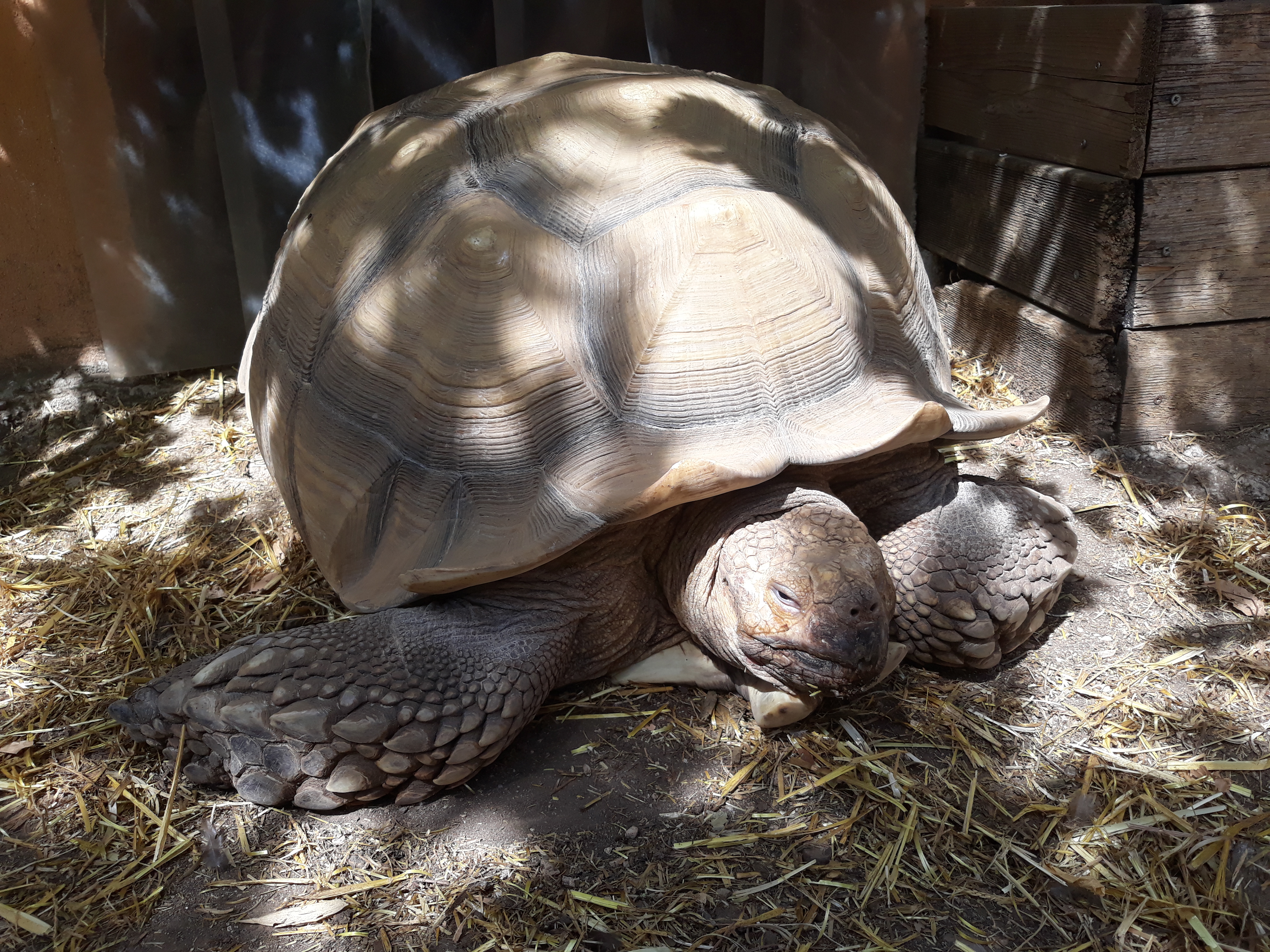 Photo n° 3 de l'avis de Raphael.e fait le 16/08/2019 à 17:28