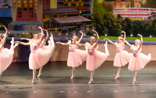 Dance School «Contempo School of Dance», reviews and photos, 24148 FL-54 #1, Lutz, FL 33559, USA