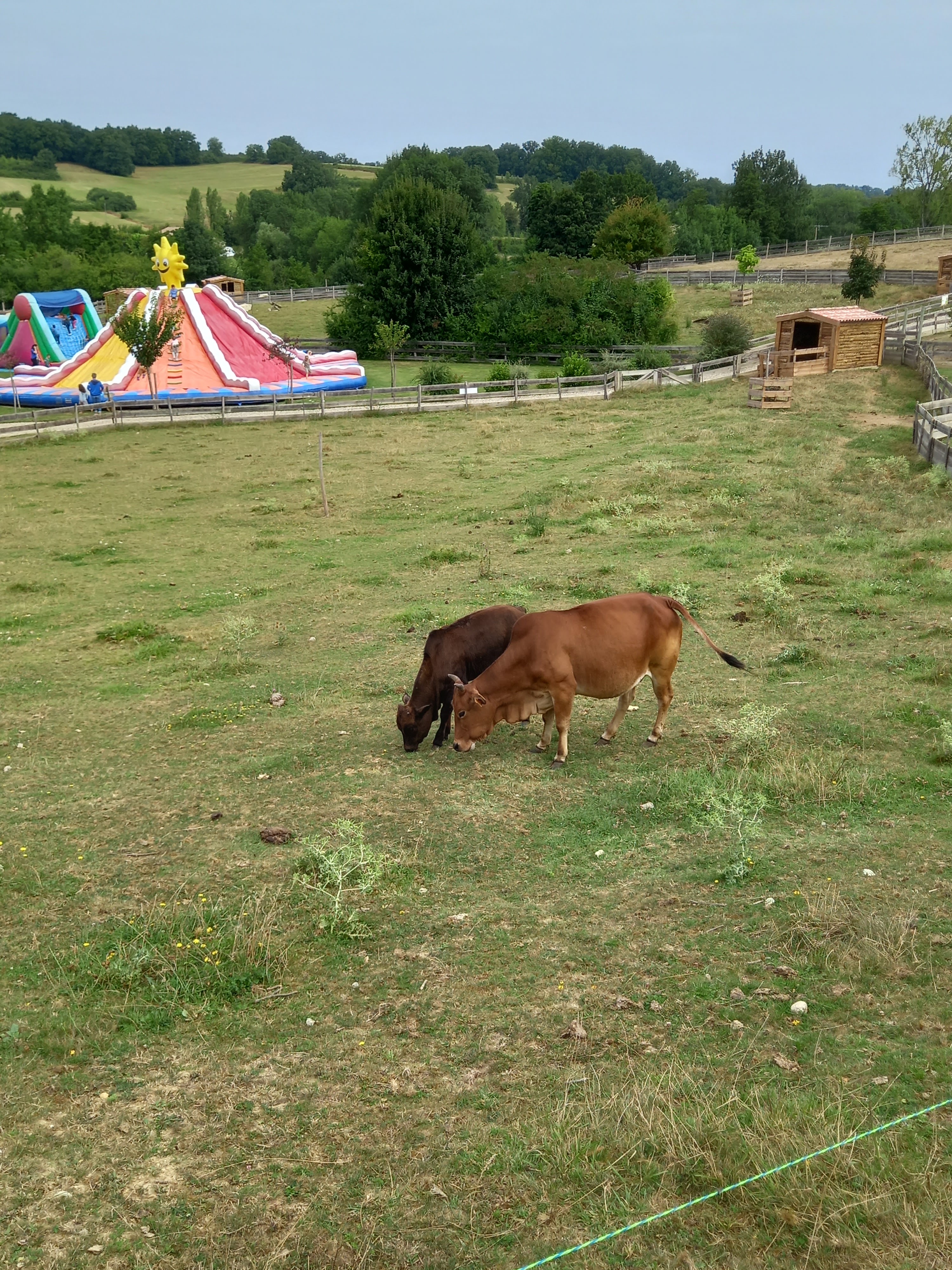 Photo n° 17 de l'avis de Estelle.u fait le 20/08/2021 à 13:14