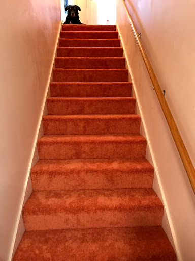 Flooring Store «Molyneaux Tile Carpet Wood», reviews and photos, 170 Quinn Dr, Pittsburgh, PA 15275, USA