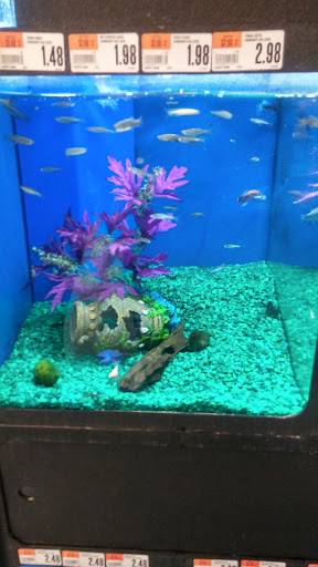 Pet Supply Store «Pet Supplies Plus», reviews and photos, 5161 Gull Rd, Kalamazoo, MI 49048, USA