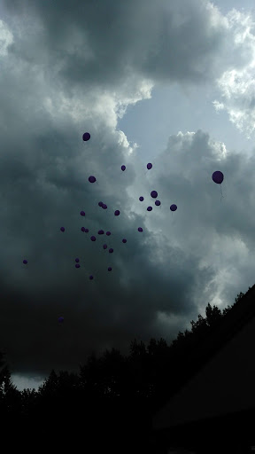 Park «Plum Creek Park», reviews and photos, Cherry St, Kent, OH 44240, USA