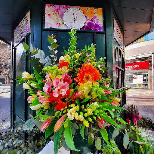 La Mejor Flor -Orquídea Shop