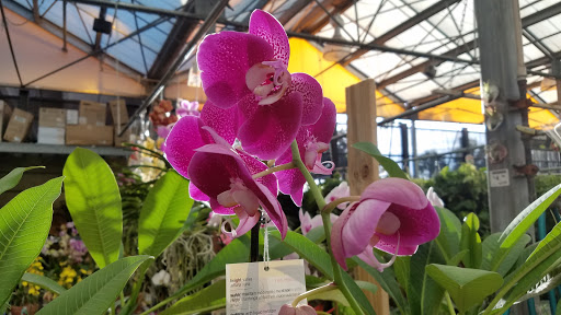 Home Improvement Store «The Home Depot», reviews and photos, 1000 NE 4th Ave, Fort Lauderdale, FL 33304, USA