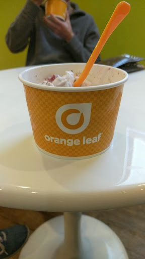 Frozen Yogurt Shop «Orange Leaf Frozen Yogurt», reviews and photos, 160 Creekside Way #502, New Braunfels, TX 78130, USA