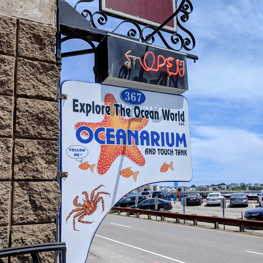 Aquarium «Explore the Ocean World, llc Oceanarium», reviews and photos, 367 Ocean Blvd, Hampton, NH 03842, USA