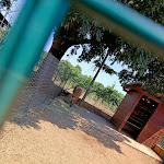 Photo n°2 de l'avis de Michela.b fait le 17/07/2022 à 14:39 sur le  Trattoria Ai Colli à Lonigo