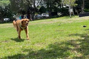 Bede Spillane Reserve (Croydon Dog Off Leash) image