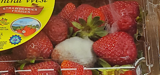 Supermarket «ALDI», reviews and photos, 1349 McFarland Blvd E, Tuscaloosa, AL 35404, USA