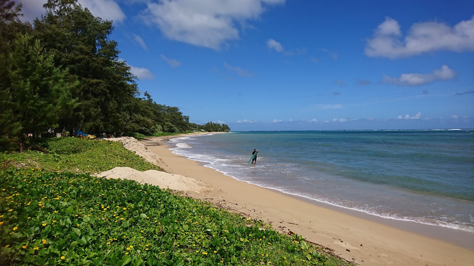 Foto van Punalu'u Beach Park met hoog niveau van netheid