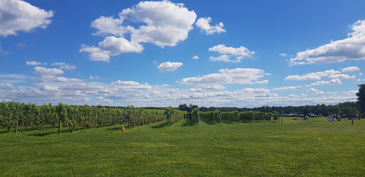 Winery «Working Dog Winery», reviews and photos, 610 Windsor Perrineville Rd, Robbinsville, NJ 08691, USA