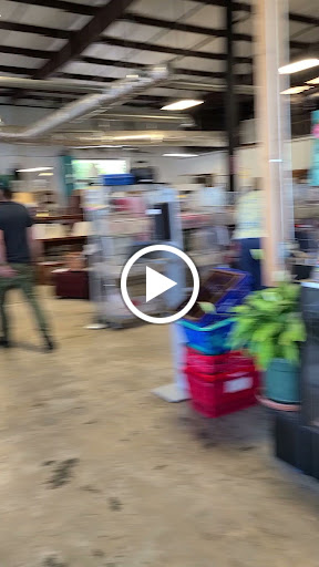 Thrift Store «CarePartners Foundation Estate Sales & Hospice Thrift Store», reviews and photos, 75 Fairview Rd, Asheville, NC 28803, USA