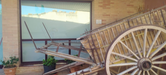Museo de historia natural – Centro De Interpretación Valle Del Huecha – Albeta