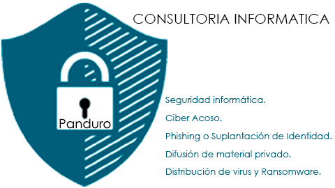 Panduro Consultoría - Perito Informático Tasador