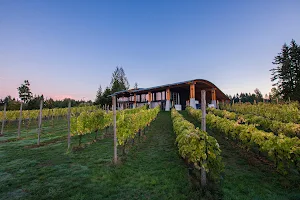 Blue Grouse Estate Winery image