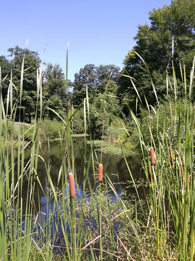 Public Golf Course «Beech Creek Golf Course», reviews and photos, 1831 Hudepohl Ln, Cincinnati, OH 45231, USA