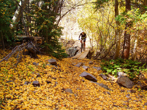 Bicycle Store «Peak Cycles - BikeParts.com», reviews and photos, 1224 Washington Ave, Golden, CO 80401, USA