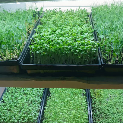 Tani Tiny Farm(Microgreens & Sprout Grower)