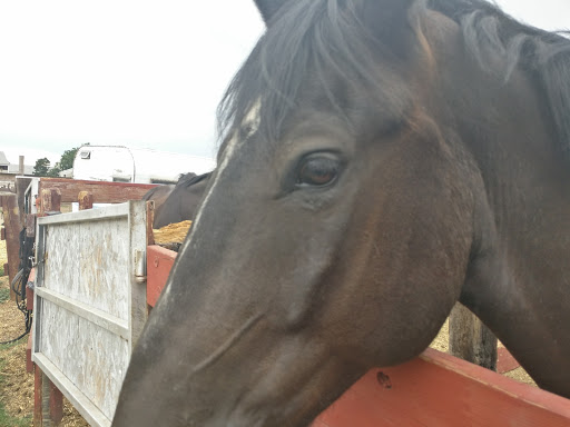 Park «Expo Park», reviews and photos, 10955 E Exposition Ave, Aurora, CO 80012, USA