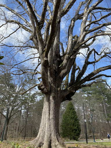 Park «Lost Corner Preserve», reviews and photos, 7300 Brandon Mill Rd NW, Sandy Springs, GA 30328, USA