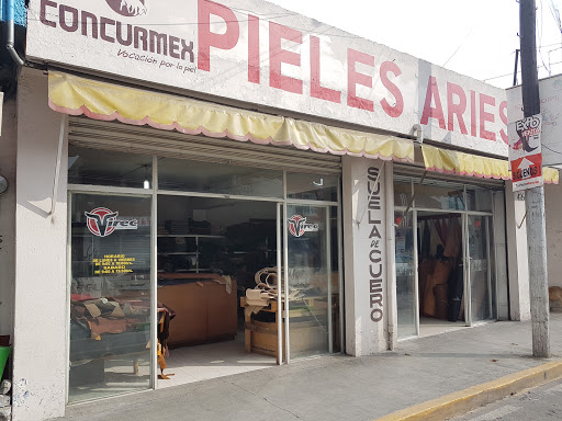 Pieles Aries