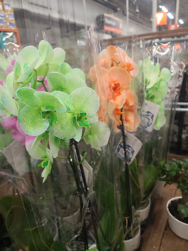 Home Improvement Store «The Home Depot», reviews and photos, 300 Thruway Plaza Dr, Cheektowaga, NY 14225, USA