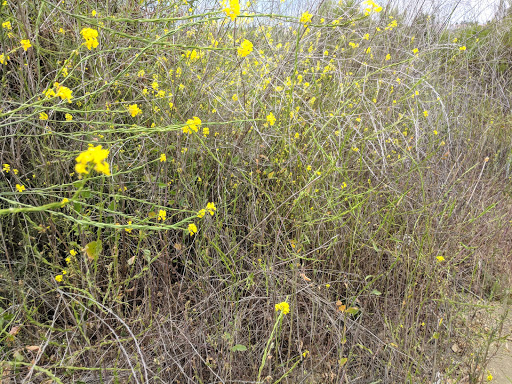 Cable Company «Time Warner», reviews and photos, 10450 Pacific Center Ct, San Diego, CA 92121, USA