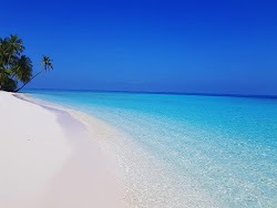 Foto von Raagondi Beach wilde gegend