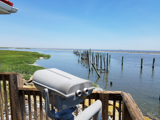 Nature Preserve «DuPont Nature Center», reviews and photos, 2992 Lighthouse Rd, Milford, DE 19963, USA