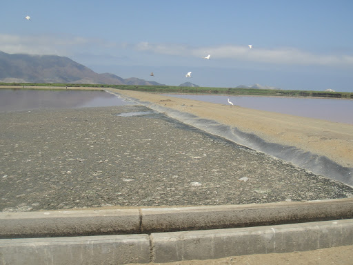 PTAR Las Gaviotas