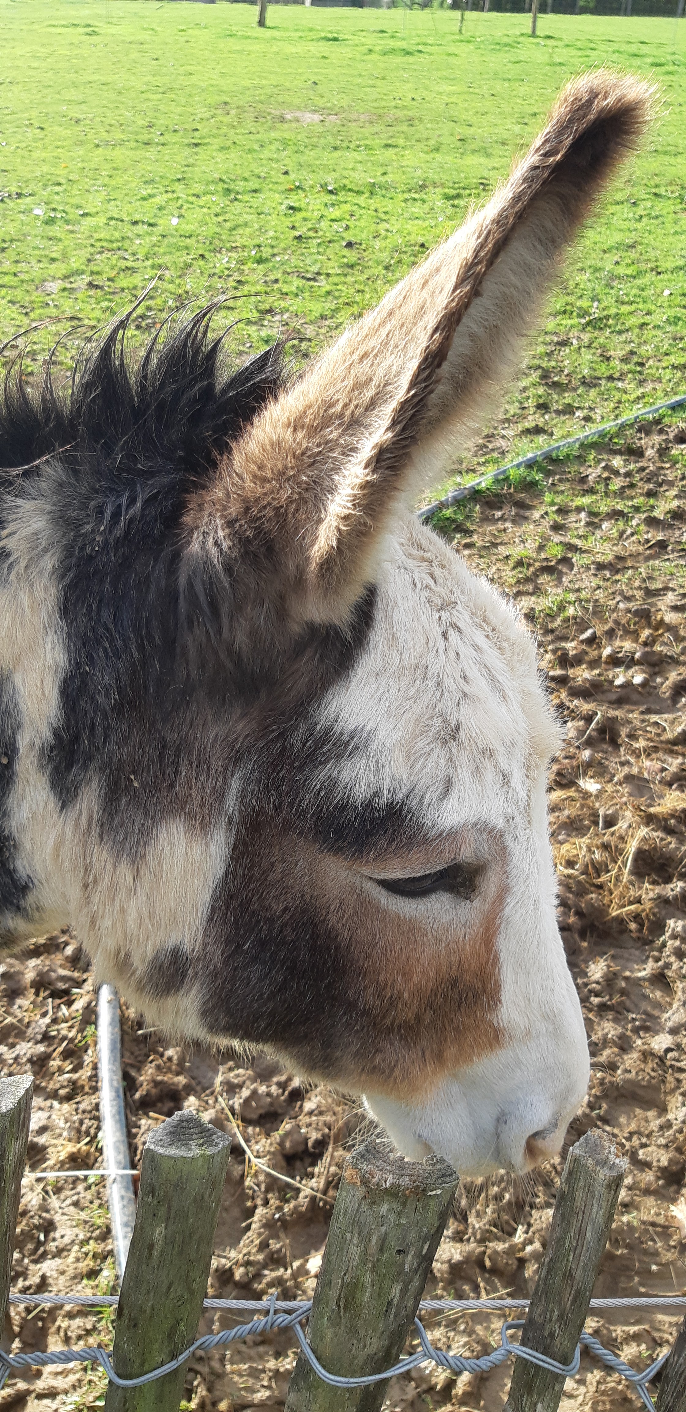 Photo n° 11 de l'avis de Yannick.a fait le 27/10/2019 à 14:17