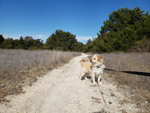 Nature Preserve «Oak Cliff Nature Preserve», reviews and photos, 2875 Pierce Street, Dallas, TX 75233, USA