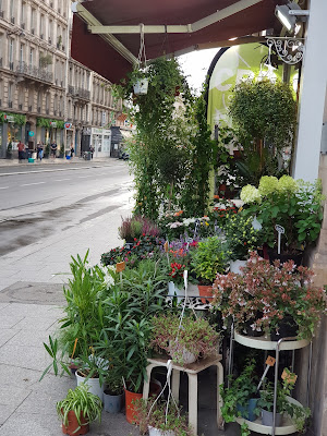 FLEUR DE LA FAYETTE à Paris