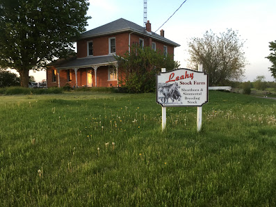 Leahy Stock Farm - Beef, Meat Birds 3113 ON-28, Lakefield, ON K0L 2H0, Canada