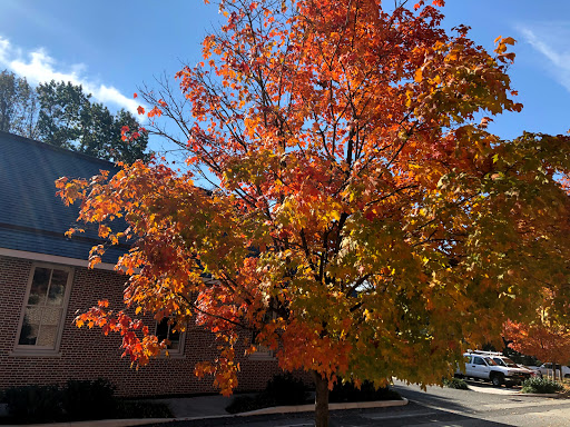 Insurance Company «Donegal Mutual Insurance Company», reviews and photos