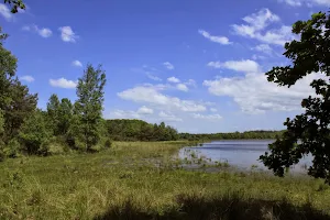 De Leersumse Plassen image