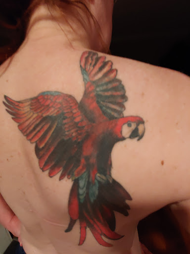 Tattoo Shop «Charmed Life Tattoo», reviews and photos, 754 N Limestone, Lexington, KY 40508, USA
