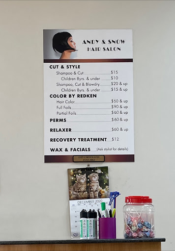 Hair Salon «Andy & Snow Hair Salon», reviews and photos, 8885 W Colonial Dr, Ocoee, FL 34761, USA