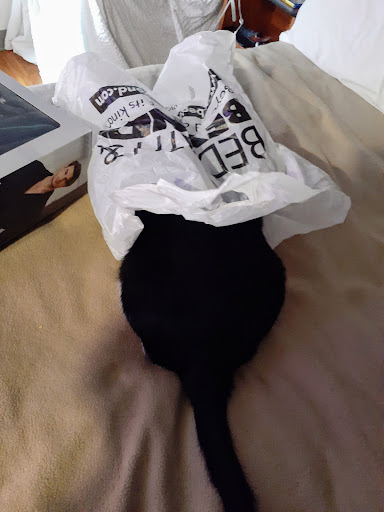 Pet Supply Store «PetSmart», reviews and photos, 4550 W Lake Mary Blvd, Lake Mary, FL 32746, USA