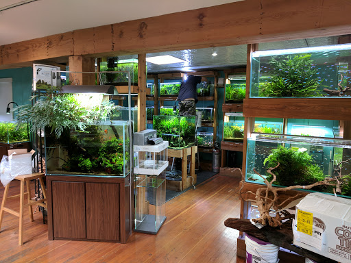 Tropical Fish Store «Aquarium Zen», reviews and photos, 920 NE 64th St, Seattle, WA 98115, USA