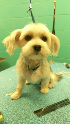 Pet Supply Store «Bubbles2biscuits», reviews and photos, 21897 S Diamond Lake Rd, Rogers, MN 55374, USA