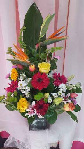 Florist «Iris Florist», reviews and photos, 21 Park Ave, Paterson, NJ 07501, USA