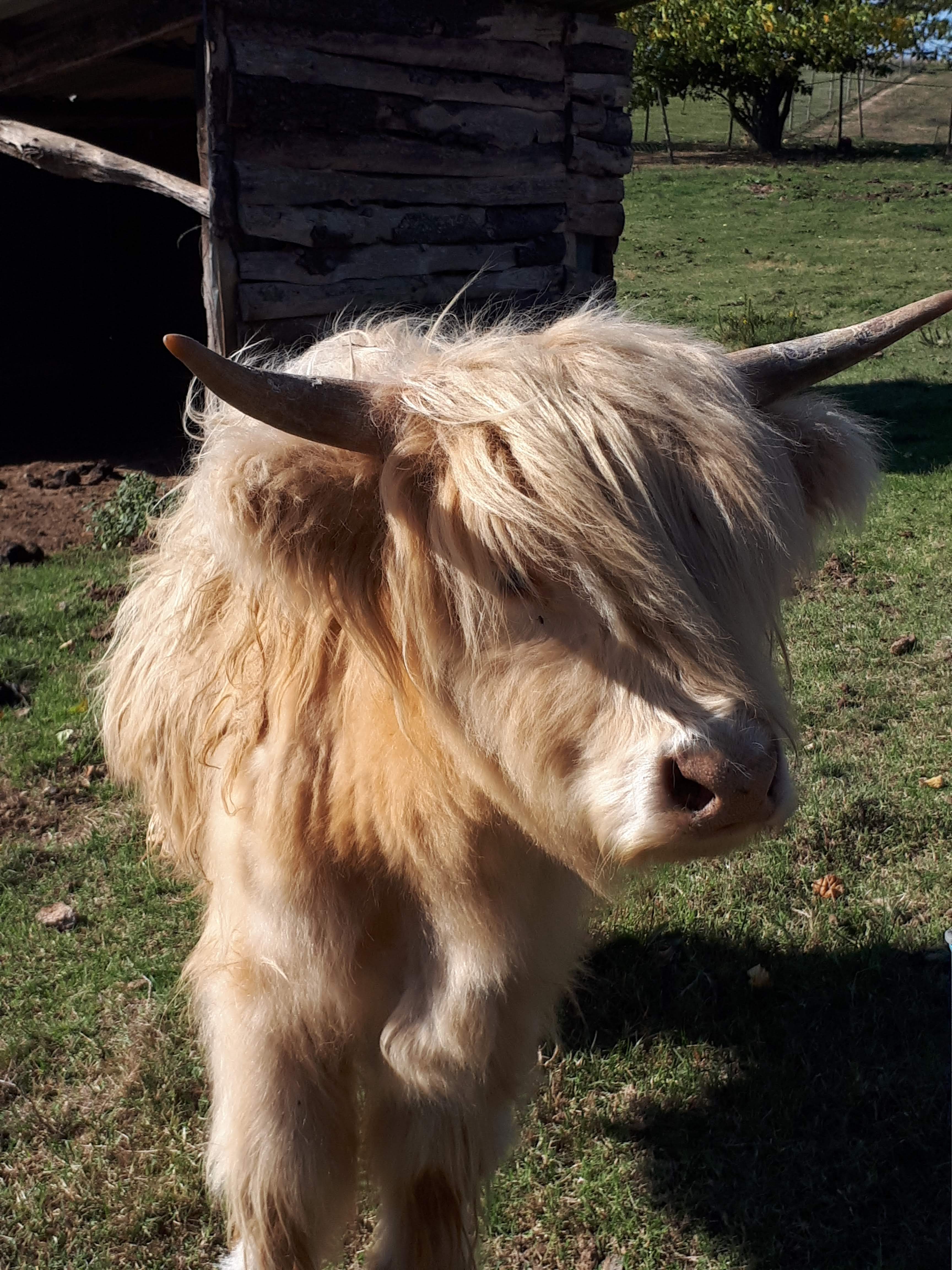 Photo n° 1 de l'avis de lusignan.n fait le 26/10/2018 à 04:59