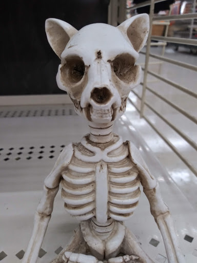 Craft Store «Michaels», reviews and photos, 150 W Lowry Ln #170, Lexington, KY 40503, USA