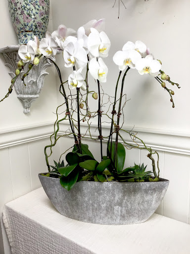 Florist «LaVassar Florists», reviews and photos, 7530 20th Ave NE, Seattle, WA 98115, USA