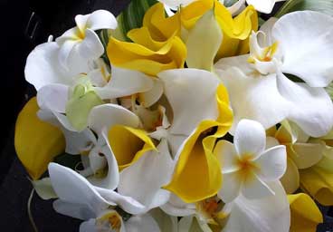 Florist «Paragon Flowers West», reviews and photos, 323 Walnut St, St Charles, IL 60174, USA