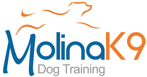 Molinak9 Dog Training, S.R.L