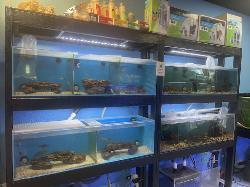 Aquarium «Reef Lovers Aquariums», reviews and photos, 9888 Southern Blvd, West Palm Beach, FL 33411, USA