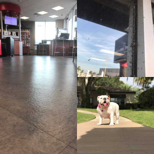 Janitorial Service «M.R.E. Cleaning Service, Inc.», reviews and photos, 3643 N Econlockhatchee Trail, Orlando, FL 32817, USA