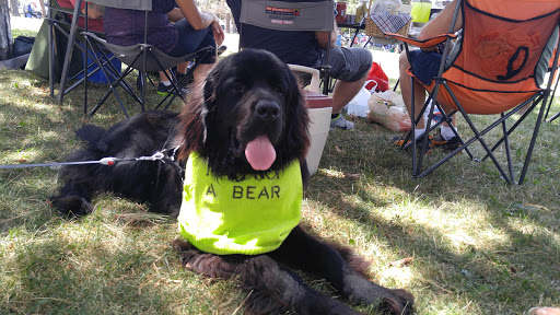 Manufacturer «Middle Ages Brewing Company», reviews and photos, 120 Wilkinson St, Syracuse, NY 13204, USA